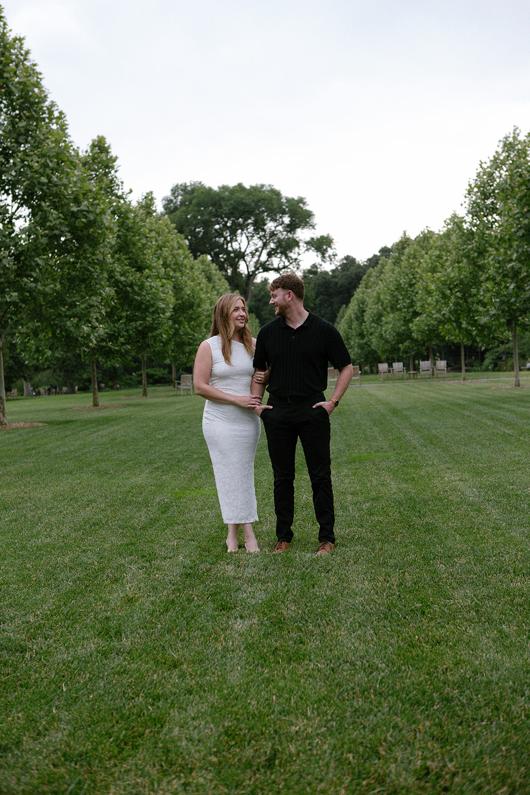 Wide Open Lawn